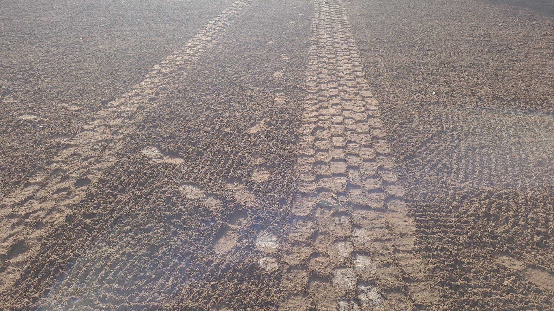 Zand — Nour Tuinman